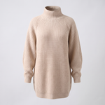 FLORIANA COSY ROLL-NECK DRESS