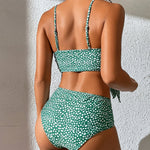 Antonina® | Classic and Bikini