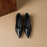 Cela Genuine Leather Pointed-Toe Heels