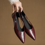 Zephy Genuine Leather Pointed Flats
