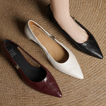 Zephy Genuine Leather Pointed Flats