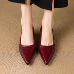 Cela Genuine Leather Pointed-Toe Heels