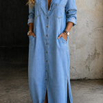 Andrea | Denim Button Down Dress