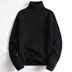 Axel Ribbed Turtleneck Sweater